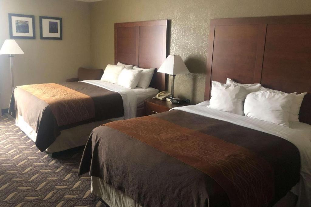 Americinn By Wyndham Memphis East Luaran gambar